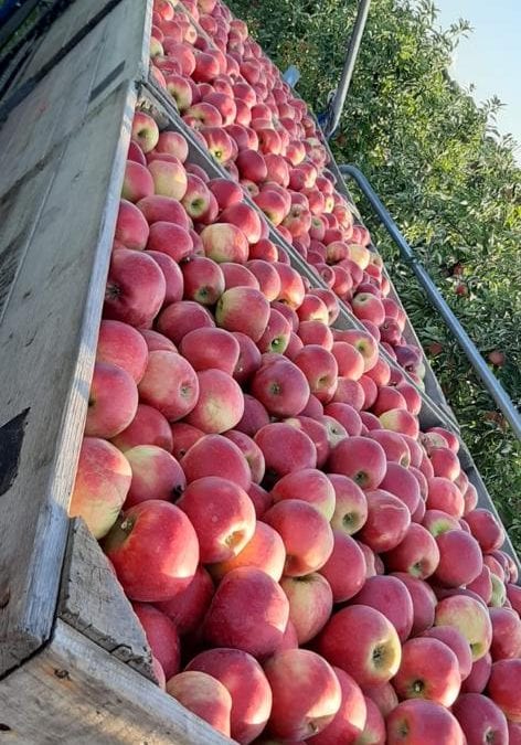 “Nieuwe Corona regels”