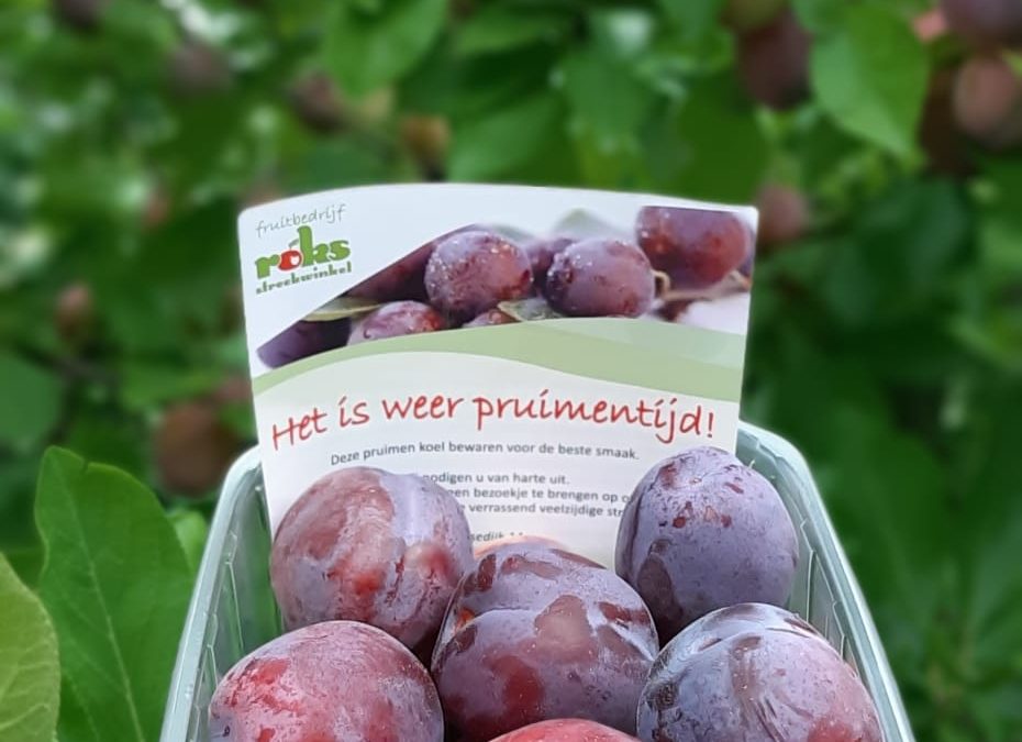 Tot in de pruimentijd